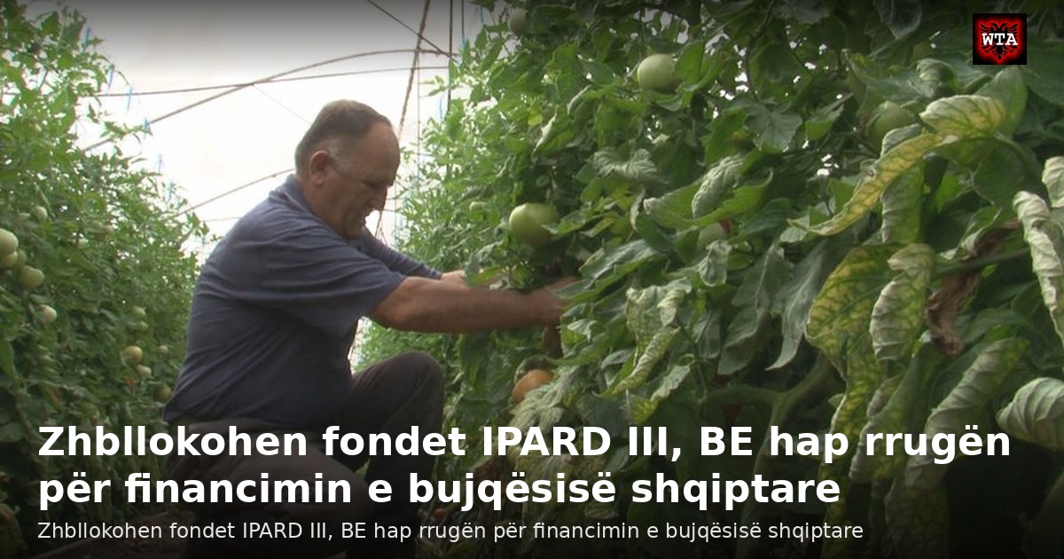 Zhbllokohen fondet IPARD III, BE hap rrugën për financimin e bujqësisë shqiptare