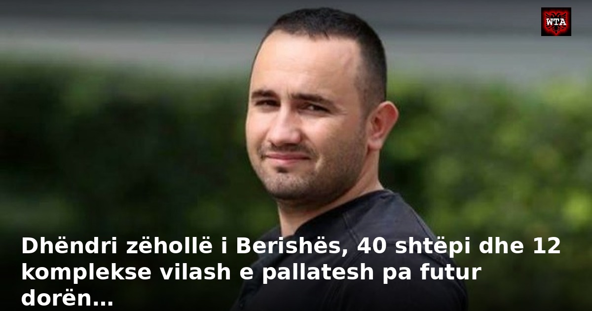 Dhëndri zëhollë i Berishës, 40 shtëpi dhe 12 komplekse vilash e pallatesh pa futur dorën…