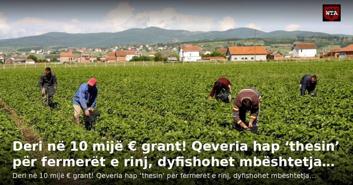 Deri në 10 mijë € grant! Qeveria hap ‘thesin’ për fermerët e rinj, dyfishohet mbështetja…