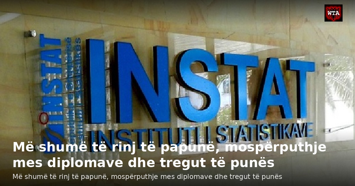 Më shumë të rinj të papunë, mospërputhje mes diplomave dhe tregut të punës