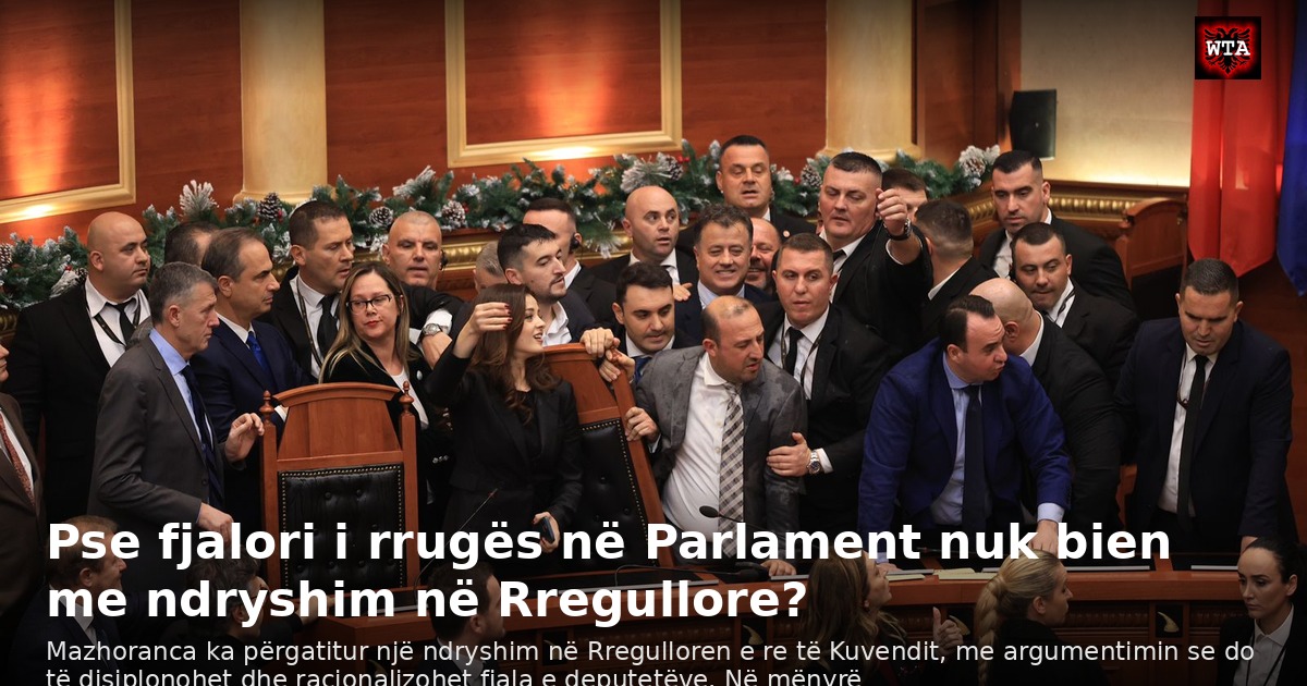 Pse fjalori i rrugës në Parlament nuk bien me ndryshim në Rregullore?