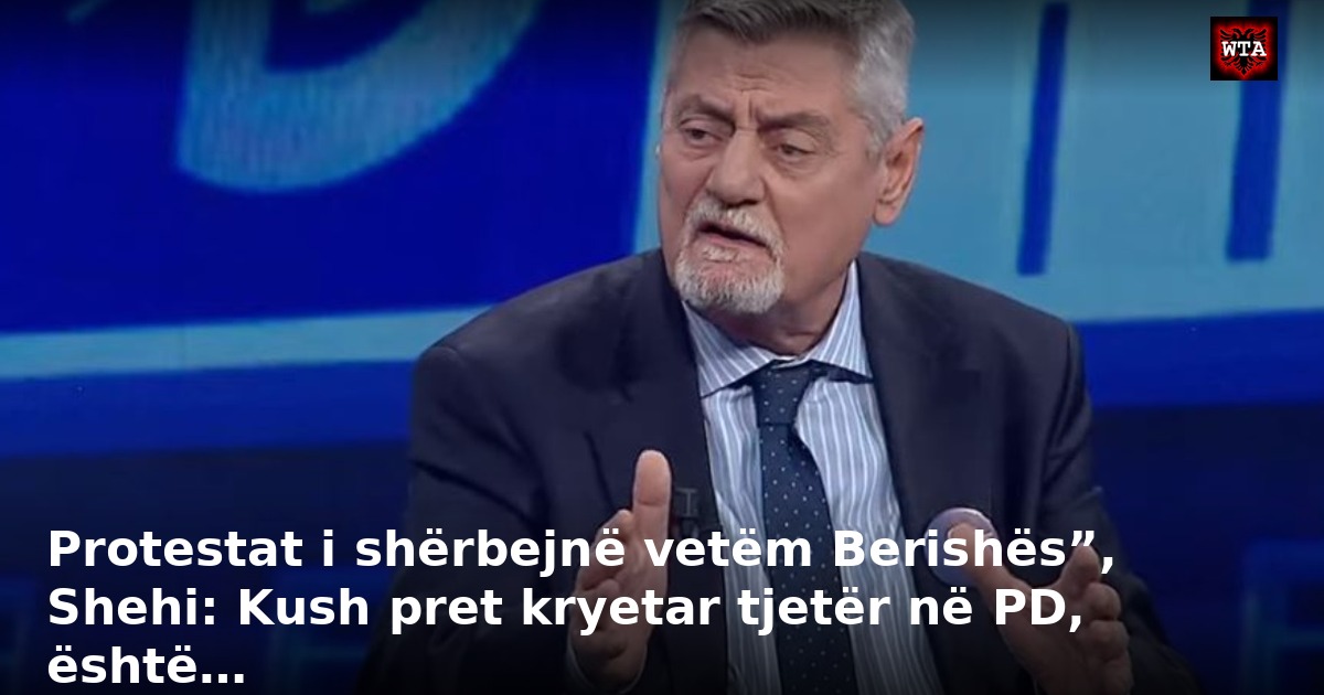 Protestat i shërbejnë vetëm Berishës”, Shehi: Kush pret kryetar tjetër në PD, është…