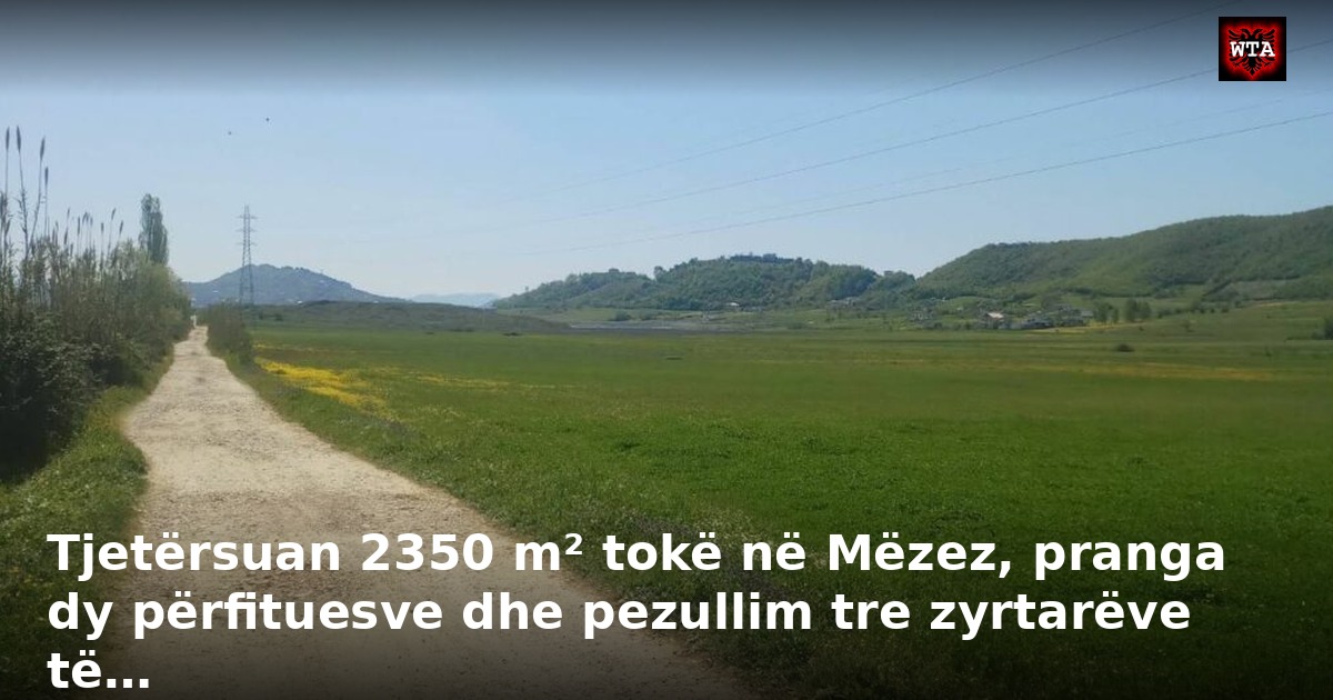 Tjetërsuan 2350 m² tokë në Mëzez, pranga dy përfituesve dhe pezullim tre zyrtarëve të…