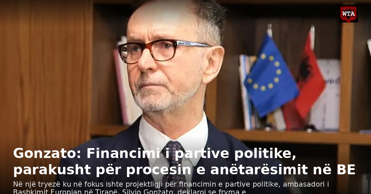 Gonzato: Financimi i partive politike, parakusht për procesin e anëtarësimit në BE