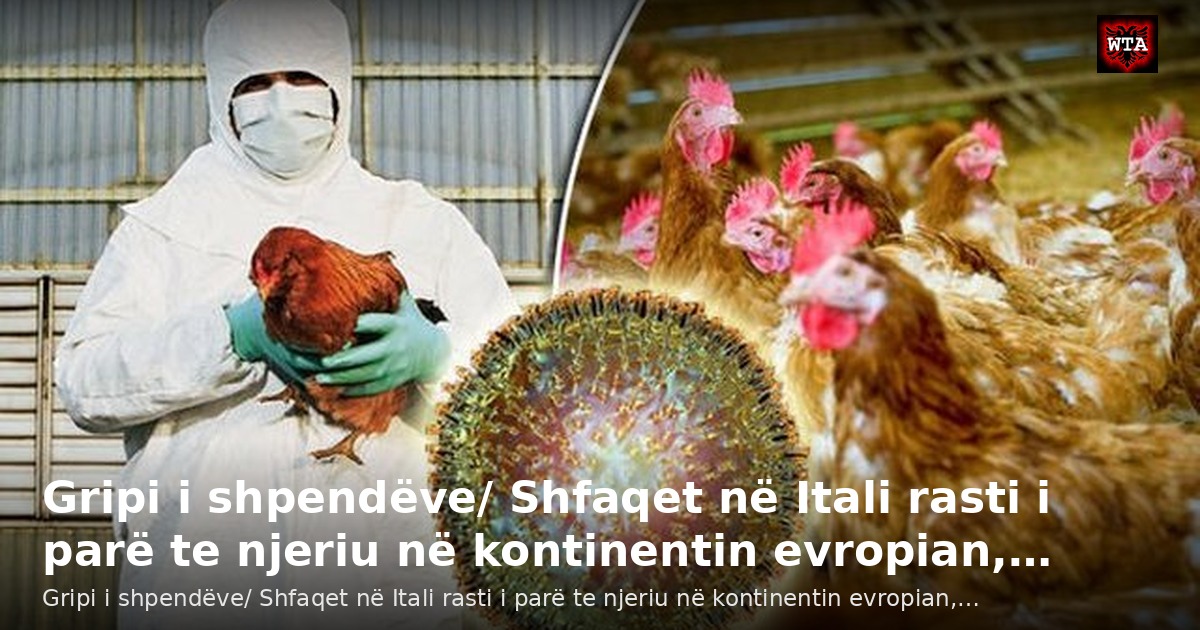 Gripi i shpendëve/ Shfaqet në Itali rasti i parë te njeriu në kontinentin evropian,…