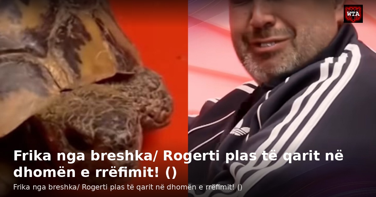 Frika nga breshka/ Rogerti plas të qarit në dhomën e rrëfimit! ()
