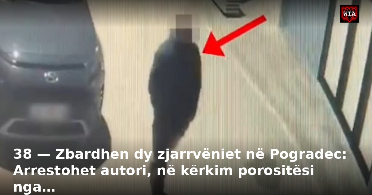 38 — Zbardhen dy zjarrvëniet në Pogradec: Arrestohet autori, në kërkim porositësi nga…