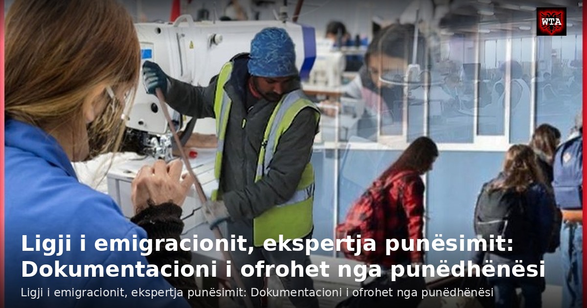 Ligji i emigracionit, ekspertja punësimit: Dokumentacioni i ofrohet nga punëdhënësi