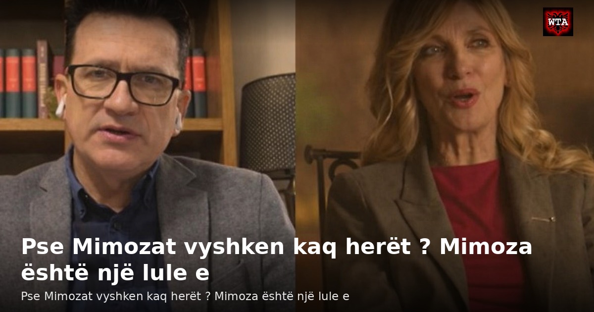 Pse Mimozat vyshken kaq herët ? Mimoza është një lule e