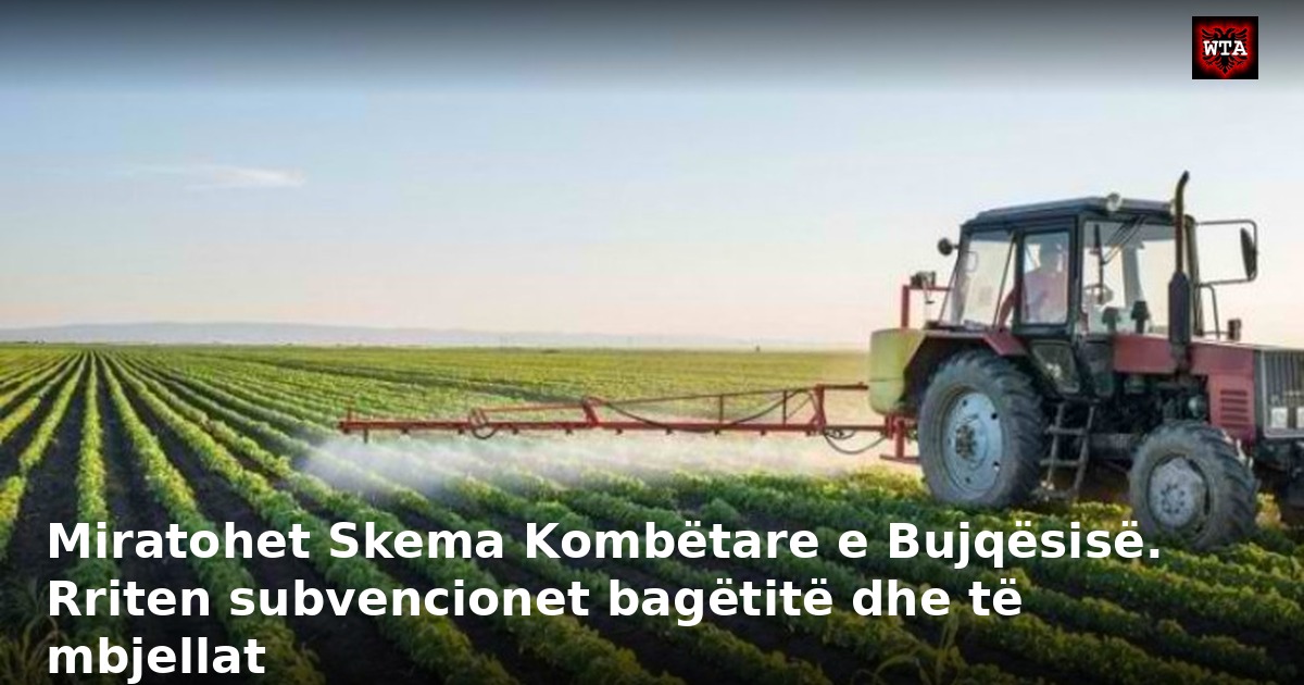 Miratohet Skema Kombëtare e Bujqësisë. Rriten subvencionet bagëtitë dhe të mbjellat