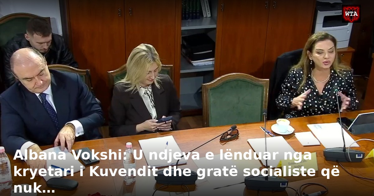Albana Vokshi: U ndjeva e lënduar nga kryetari i Kuvendit dhe gratë socialiste që nuk…