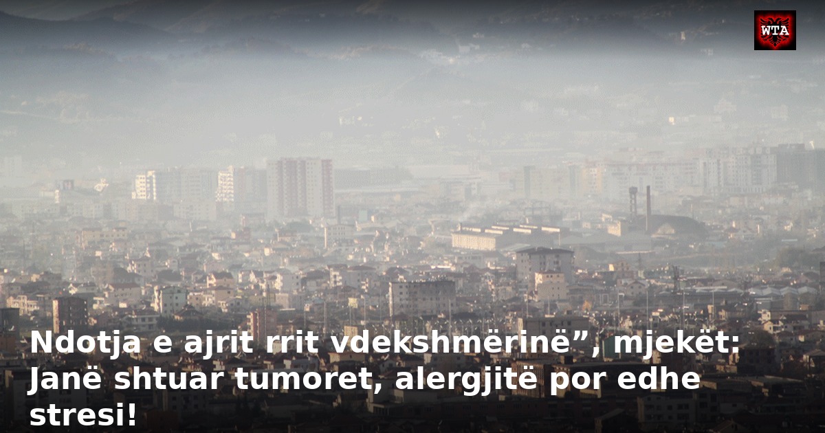 Ndotja e ajrit rrit vdekshmërinë”, mjekët: Janë shtuar tumoret, alergjitë por edhe stresi!