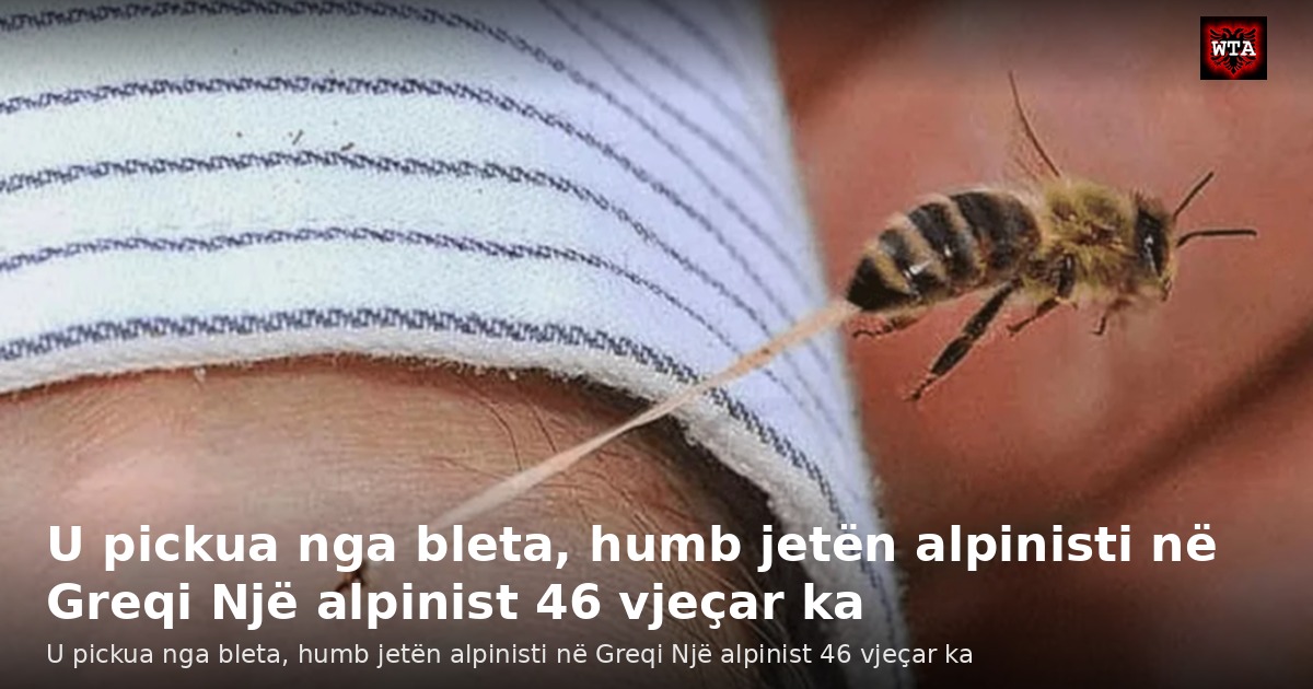 U pickua nga bleta, humb jetën alpinisti në Greqi Një alpinist 46 vjeçar ka