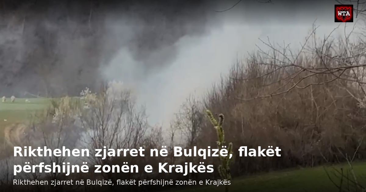 Rikthehen zjarret në Bulqizë, flakët përfshijnë zonën e Krajkës