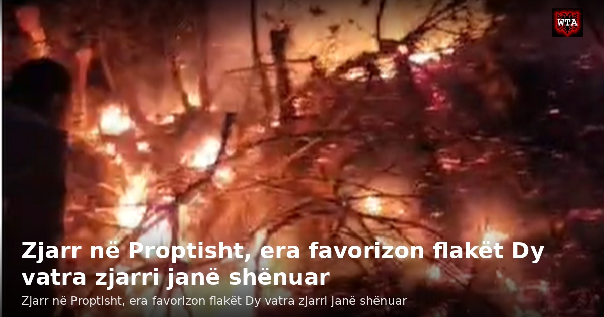 Zjarr në Proptisht, era favorizon flakët Dy vatra zjarri janë shënuar