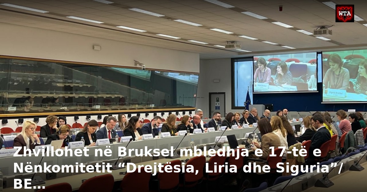 Zhvillohet në Bruksel mbledhja e 17-të e Nënkomitetit “Drejtësia, Liria dhe Siguria”/ BE…