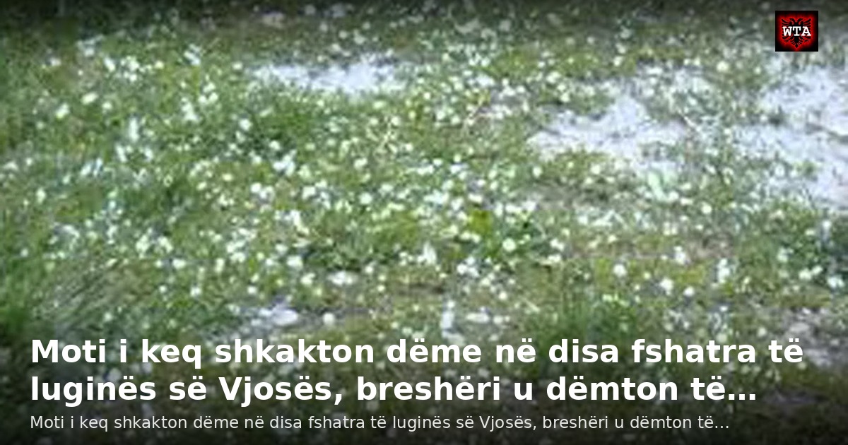 Moti i keq shkakton dëme në disa fshatra të luginës së Vjosës, breshëri u dëmton të…