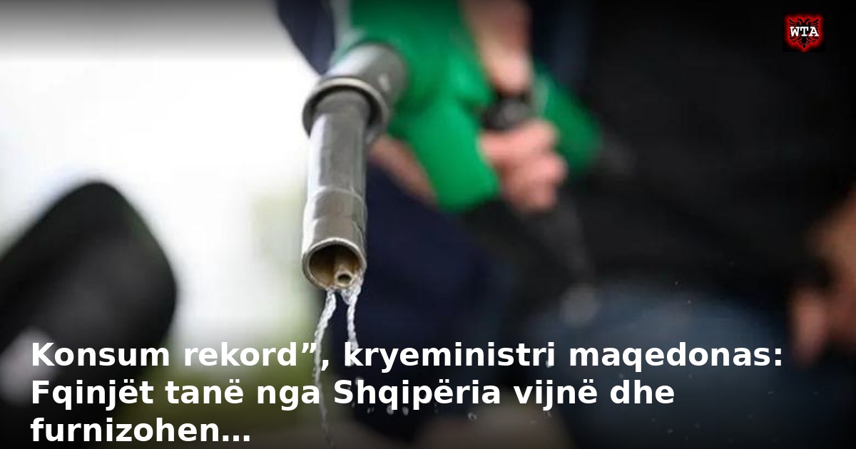 Konsum rekord”, kryeministri maqedonas: Fqinjët tanë nga Shqipëria vijnë dhe furnizohen…