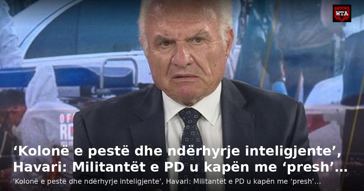 ‘Kolonë e pestë dhe ndërhyrje inteligjente’, Havari: Militantët e PD u kapën me ‘presh’…