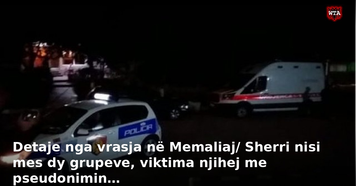 Detaje nga vrasja në Memaliaj/ Sherri nisi mes dy grupeve, viktima njihej me pseudonimin…