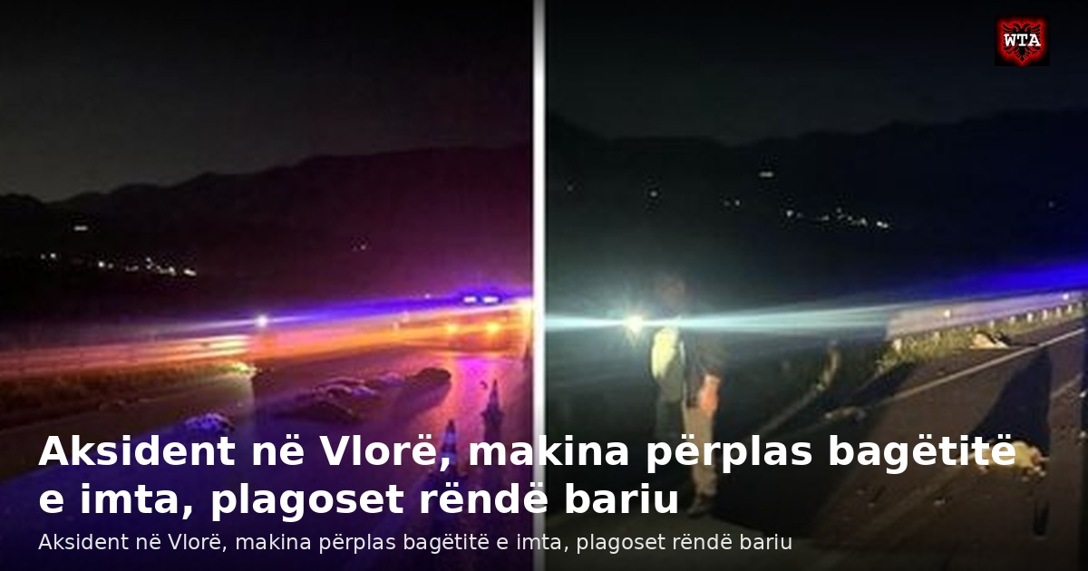 Aksident në Vlorë, makina përplas bagëtitë e imta, plagoset rëndë bariu