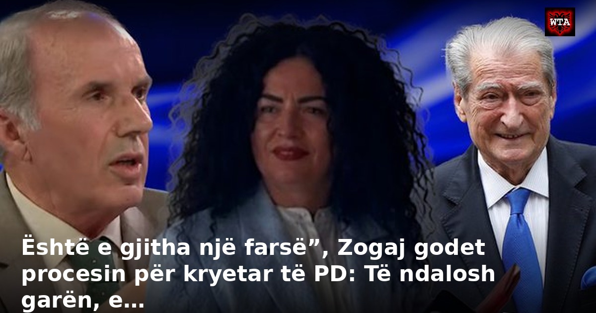 Është e gjitha një farsë”, Zogaj godet procesin për kryetar të PD: Të ndalosh garën, e…