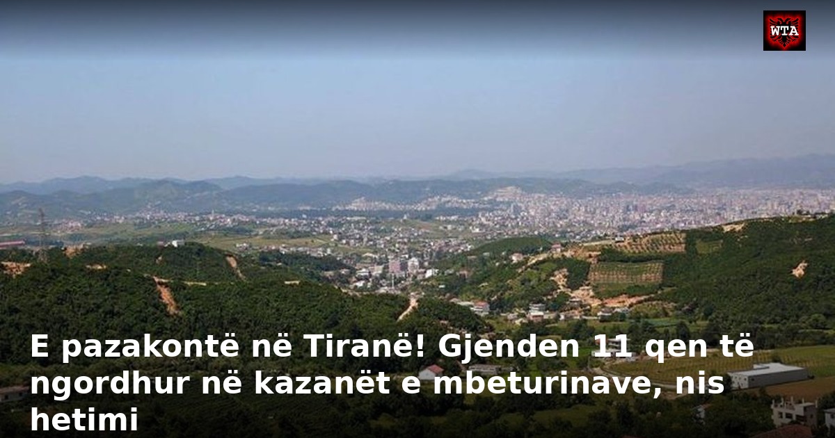 E pazakontë në Tiranë! Gjenden 11 qen të ngordhur në kazanët e mbeturinave, nis hetimi