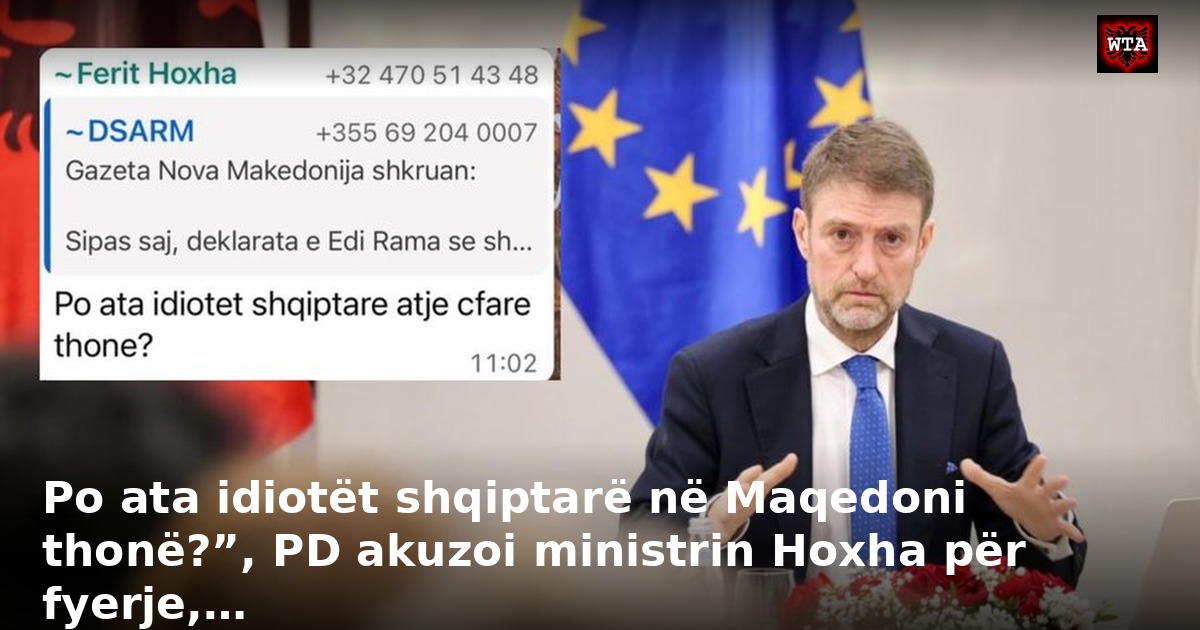 Po ata idiotët shqiptarë në Maqedoni thonë?”, PD akuzoi ministrin Hoxha për fyerje,…