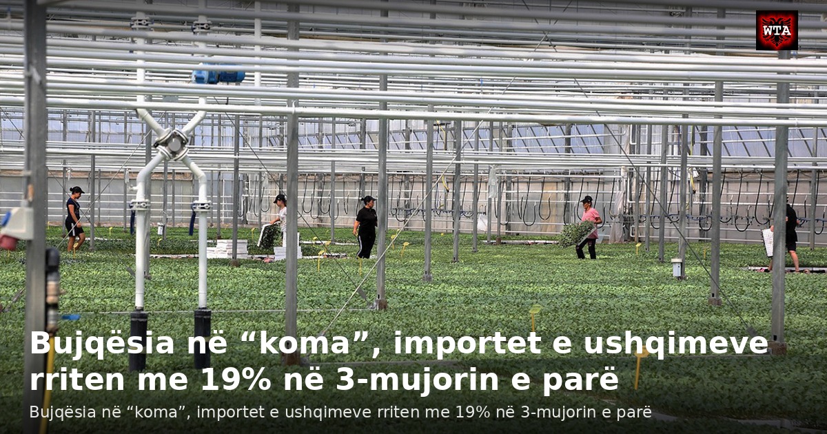 Bujqësia në “koma”, importet e ushqimeve rriten me 19% në 3-mujorin e parë