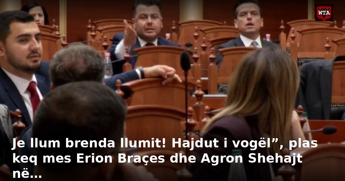 Je llum brenda llumit! Hajdut i vogël”, plas keq mes Erion Braçes dhe Agron Shehajt në…