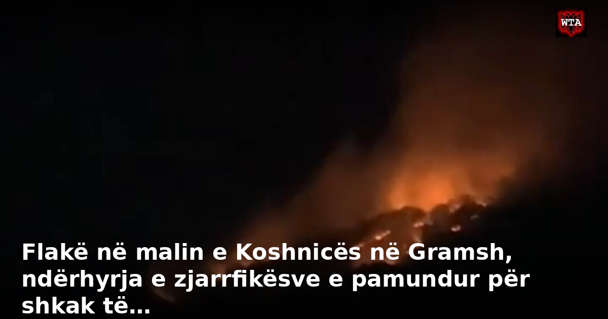 Flakë në malin e Koshnicës në Gramsh, ndërhyrja e zjarrfikësve e pamundur për shkak të…