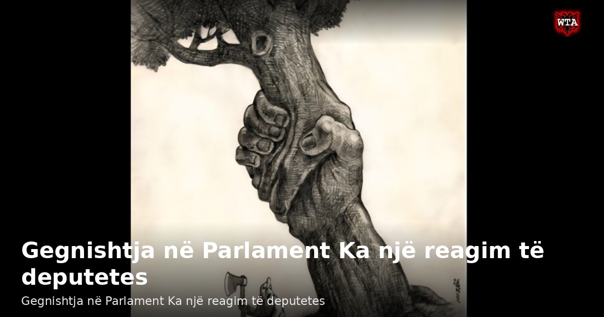 Gegnishtja në Parlament Ka një reagim të deputetes