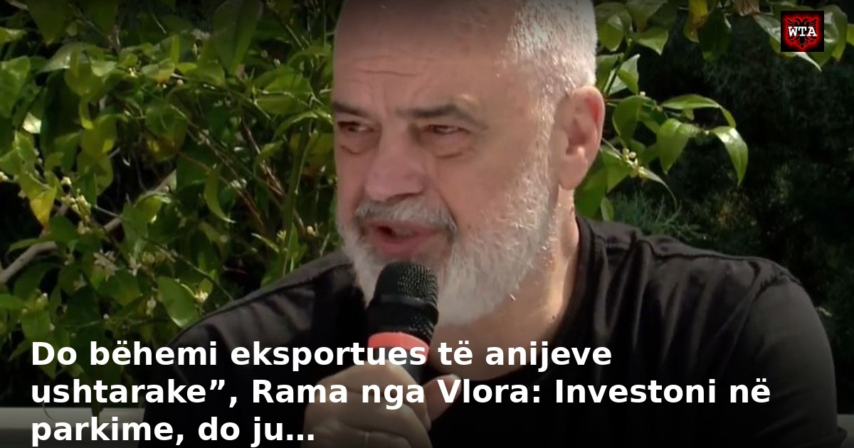 Do bëhemi eksportues të anijeve ushtarake”, Rama nga Vlora: Investoni në parkime, do ju…