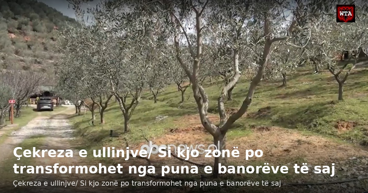 Çekreza e ullinjve/ Si kjo zonë po transformohet nga puna e banorëve të saj