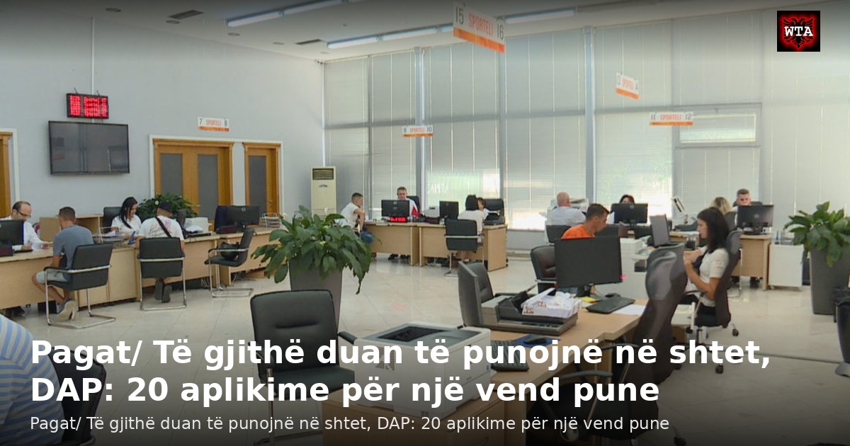 Pagat/ Të gjithë duan të punojnë në shtet, DAP: 20 aplikime për një vend pune