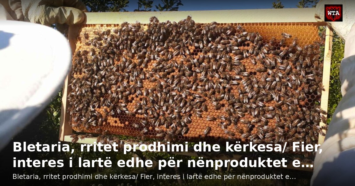 Bletaria, rritet prodhimi dhe kërkesa/ Fier, interes i lartë edhe për nënproduktet e…