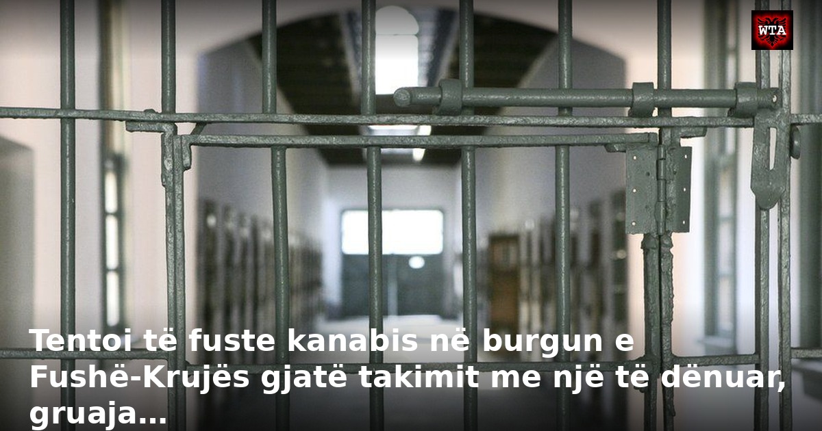 Tentoi të fuste kanabis në burgun e Fushë-Krujës gjatë takimit me një të dënuar, gruaja…