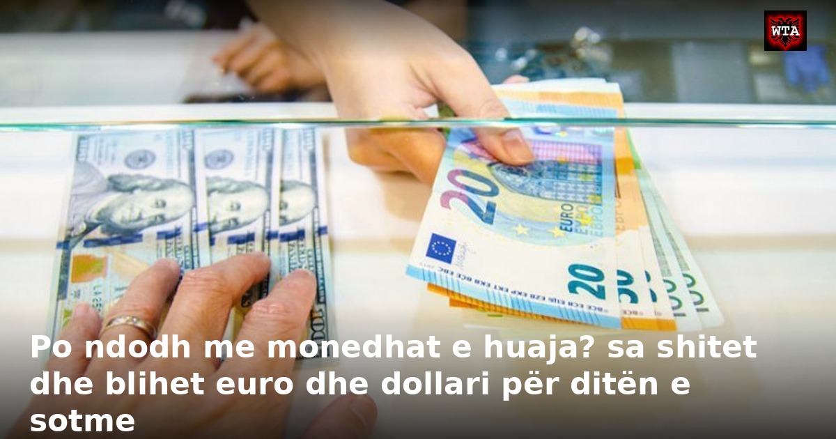 Po ndodh me monedhat e huaja? sa shitet dhe blihet euro dhe dollari për ditën e sotme