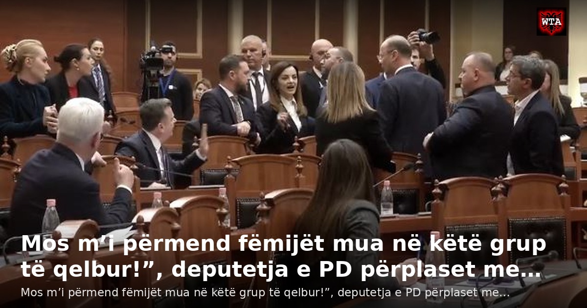 Mos m’i përmend fëmijët mua në këtë grup të qelbur!”, deputetja e PD përplaset me…