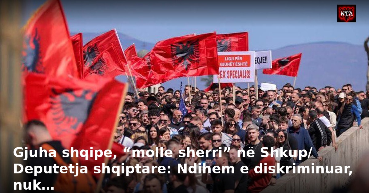 Gjuha shqipe, “molle sherri” në Shkup/ Deputetja shqiptare: Ndihem e diskriminuar, nuk…