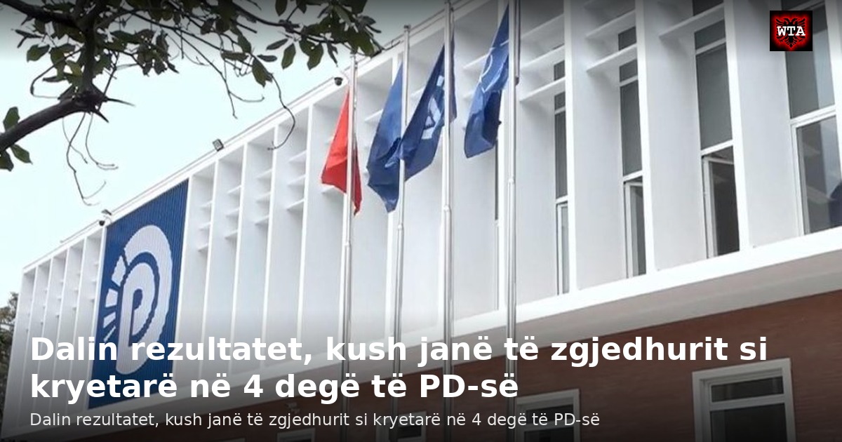 Dalin rezultatet, kush janë të zgjedhurit si kryetarë në 4 degë të PD-së