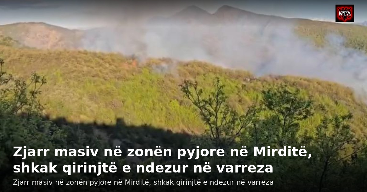 Zjarr masiv në zonën pyjore në Mirditë, shkak qirinjtë e ndezur në varreza