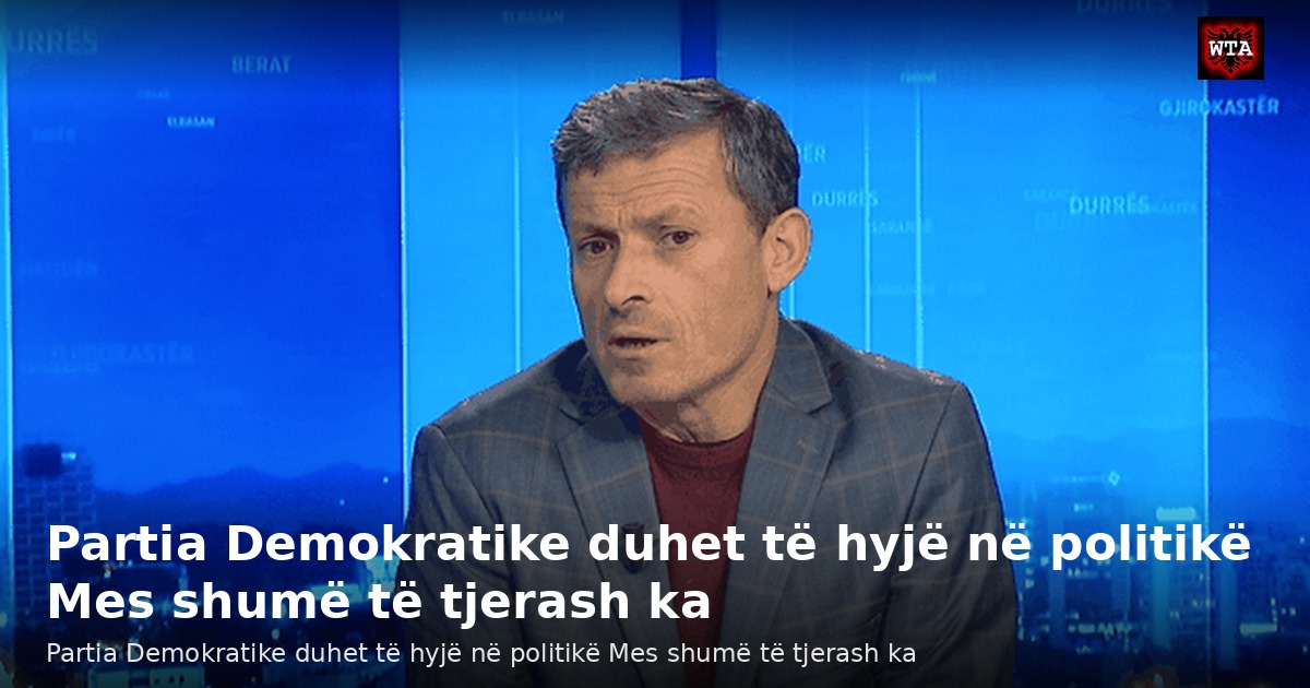 Partia Demokratike duhet të hyjë në politikë Mes shumë të tjerash ka