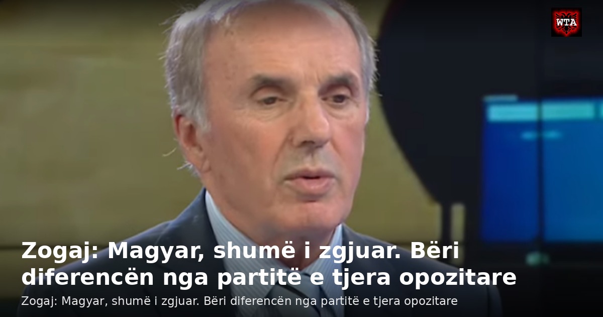 Zogaj: Magyar, shumë i zgjuar. Bëri diferencën nga partitë e tjera opozitare