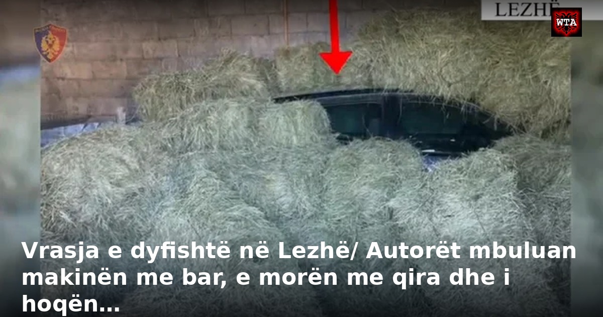 Vrasja e dyfishtë në Lezhë/ Autorët mbuluan makinën me bar, e morën me qira dhe i hoqën…