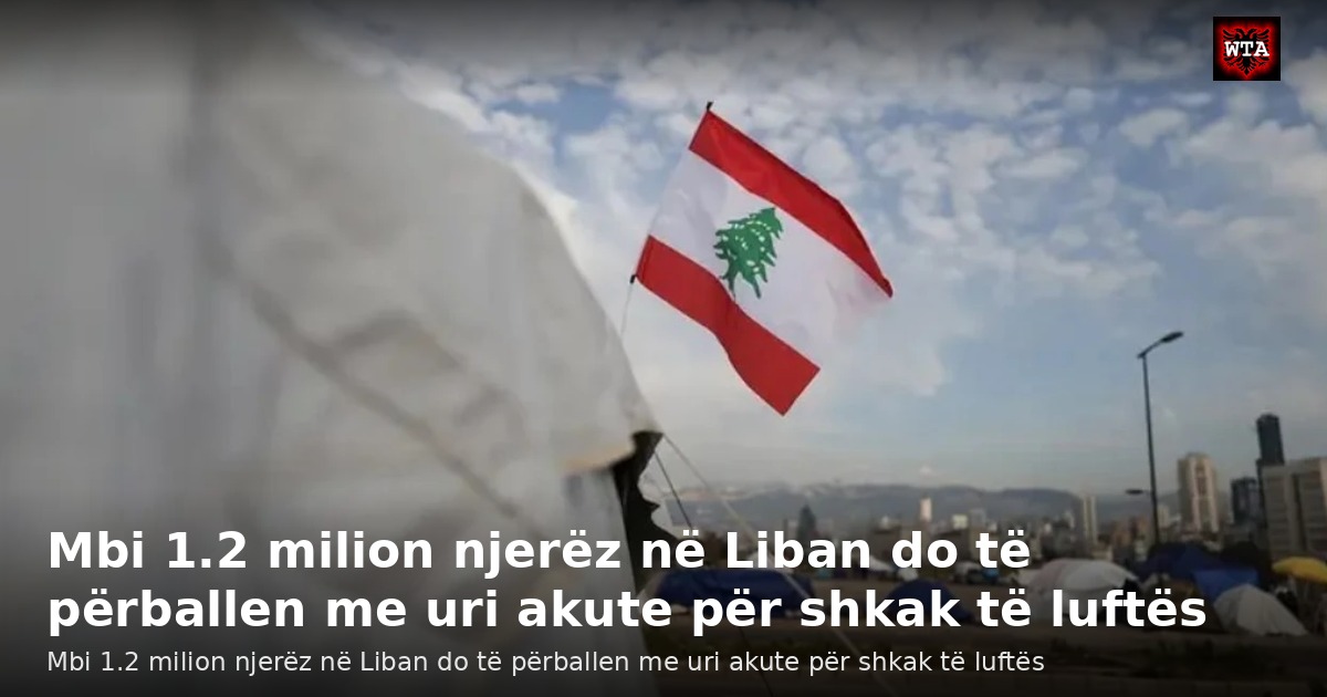 Mbi 1.2 milion njerëz në Liban do të përballen me uri akute për shkak të luftës