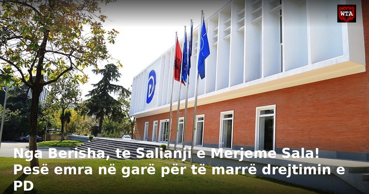 Nga Berisha, te Salianji e Merjeme Sala! Pesë emra në garë për të marrë drejtimin e PD