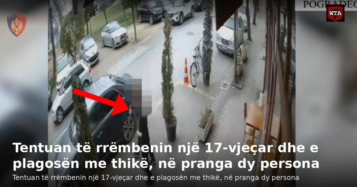 Tentuan të rrëmbenin një 17-vjeçar dhe e plagosën me thikë, në pranga dy persona