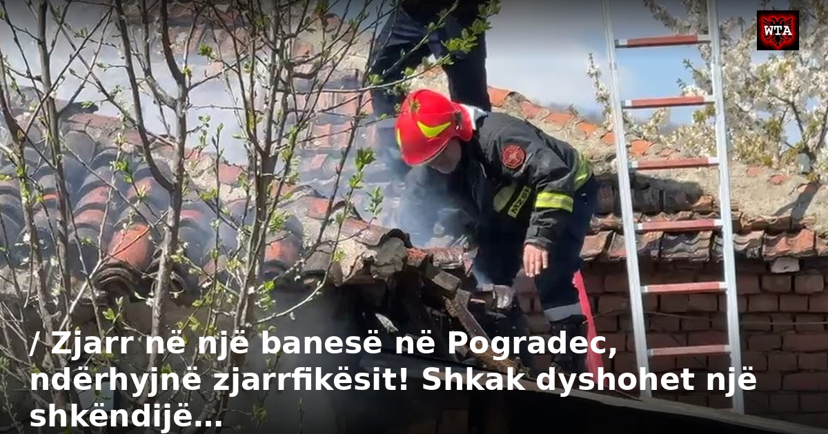 / Zjarr në një banesë në Pogradec, ndërhyjnë zjarrfikësit! Shkak dyshohet një shkëndijë…