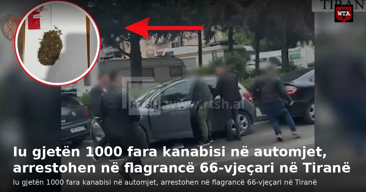 Iu gjetën 1000 fara kanabisi në automjet, arrestohen në flagrancë 66-vjeçari në Tiranë